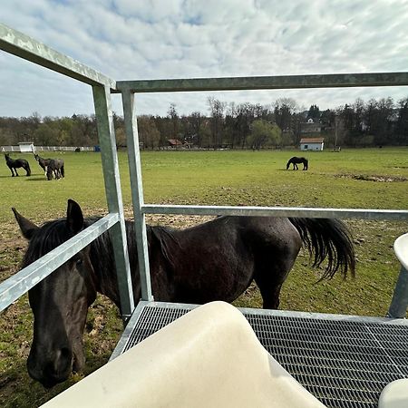 Glamping - Stylova Maringotka V Srdci Ladova Kraje, Pobliz Hlavniho Mesta Prahy Stribrna Skalice Экстерьер фото