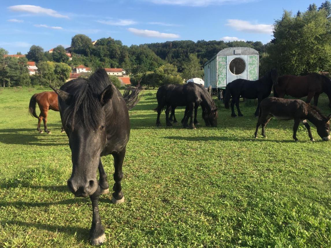 Glamping - Stylova Maringotka V Srdci Ladova Kraje, Pobliz Hlavniho Mesta Prahy Stribrna Skalice Экстерьер фото