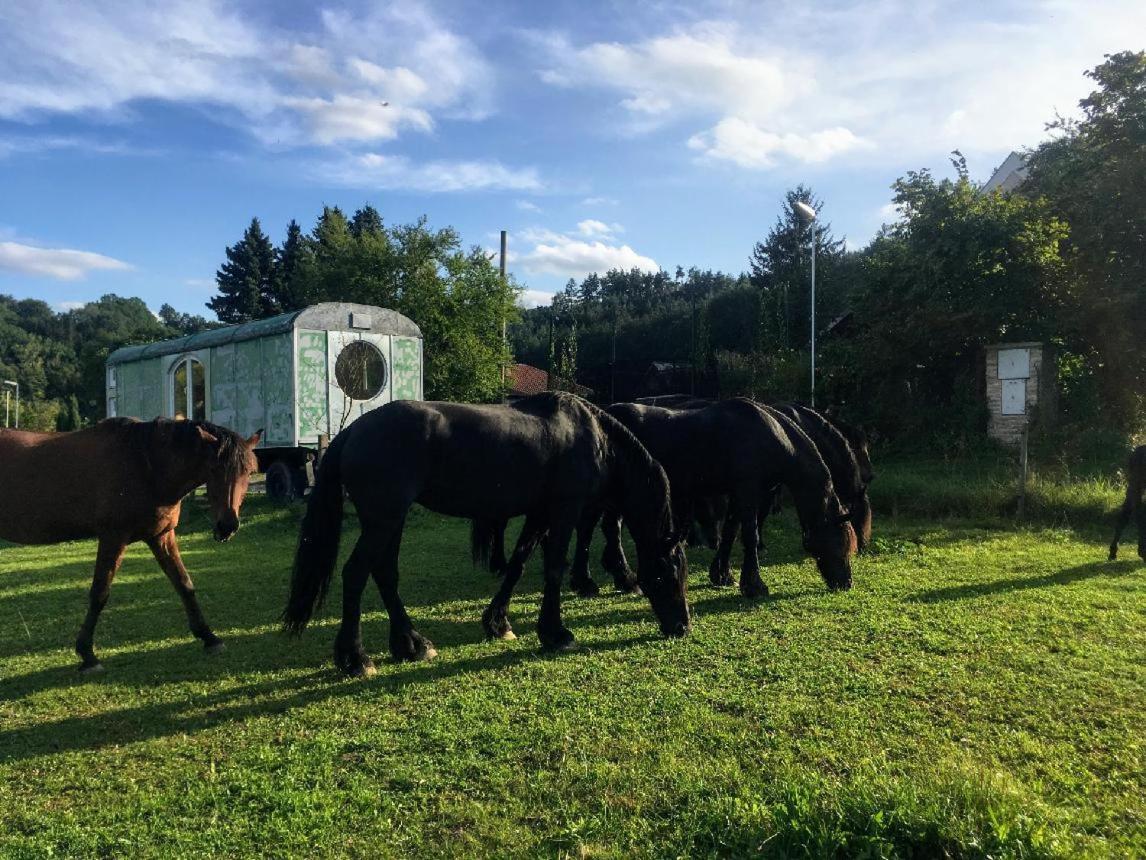 Glamping - Stylova Maringotka V Srdci Ladova Kraje, Pobliz Hlavniho Mesta Prahy Stribrna Skalice Экстерьер фото