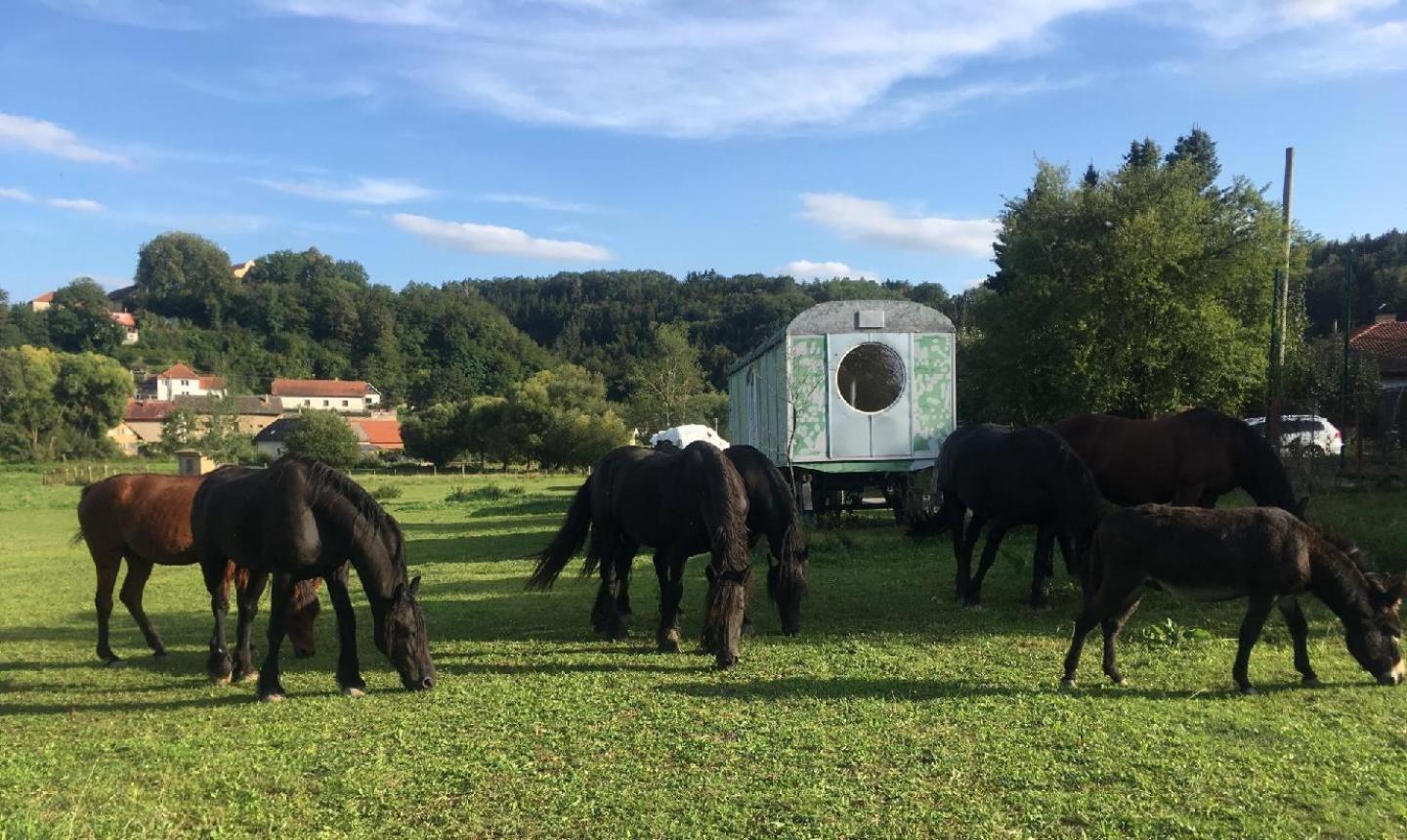 Glamping - Stylova Maringotka V Srdci Ladova Kraje, Pobliz Hlavniho Mesta Prahy Stribrna Skalice Экстерьер фото