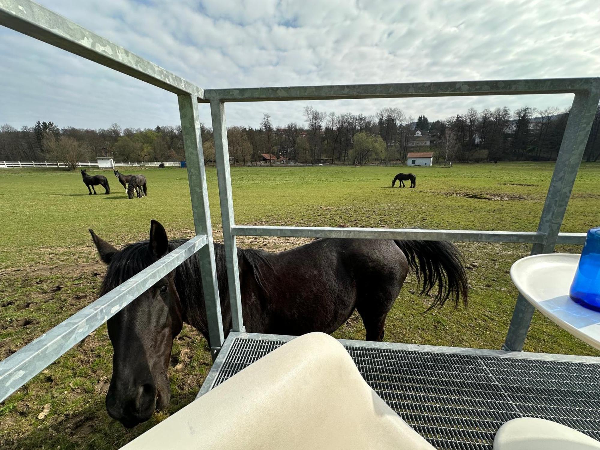 Glamping - Stylova Maringotka V Srdci Ladova Kraje, Pobliz Hlavniho Mesta Prahy Stribrna Skalice Экстерьер фото
